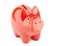 Piggy bank red piggyback, symbol of economy isolated on white