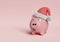 Piggy bank with santa claus hat