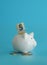 Piggy bank for saving money. Wealth, budget, investment, finance concept. Money box, piggybank on the blue background.