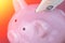 Piggy bank savings concept with raspberry color on background