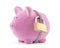 Piggy bank secured with padlock