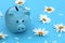 Piggy bank stands on a blue background surrounded by daisies.