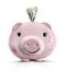 piggy bank stuffed with money
