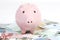 Piggy bank style money box on euros banknote