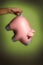 Piggy Bank by the Tail