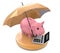 Piggy bank with umbrella. Wealth protection concept