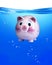 Piggy bank under water.