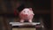 Piggy bank wearing graduation cap