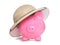 Piggy bank wearing safari hat