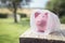 Piggy bank wrapped in bubble wrap, protecting your money