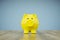 piggy bank yellow