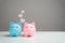 Piggy banks in love. Starting a life together and a shared budget for spending.