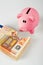 Piggy Coin Bank eating fifity euro pile