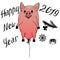 Piggy - flying balloon and 2019 celebratory lettering with elements for design of New Year and winter cards, invitations,