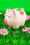 Piggy moneybox on grass