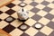 Piggy piggy bank and euro coins in the form of figures on a chessboard, business concept, games