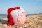 A piggy-shaped pink piggy bank with a Christmas cap on his head against the background of the sea