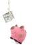 Piggybank catch dollars