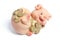 Piggybank with Coins