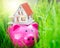 Piggybank and house