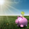 Piggybank on a meadow with blue sky background