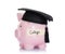 Piggybank with mortar board and college label