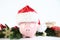 Piggybank in santa hat
