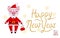 Piglet in the role of Santa Claus with the inscription Happy New Year