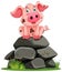 piglet sitting atop stones