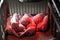 Piglets and sows in a cage with infrared heating