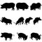 Pigs and boars silhouettes set