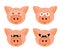 Pigs faces in glasses set in funny style