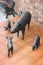 Pigs family sculpture