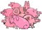 Pigs farm animal cartoon characters group