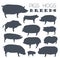 Pigs, hogs breed icon set. Flat design