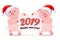 Pigs in Santa Claus hat holding banner with congratulation. Symbol of Chinese New Year 2019