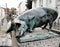 Pigs statue on the streets of Wismar