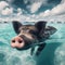 Pigs swimming in the Indian Ocean
