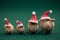 Pigs wearing christmas hat