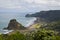 Piha Beach