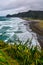 Piha Beach with Lion Rock, New Zealand