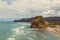 Piha beach view, western coast of Auckland, New Zealand