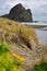 Piha black sand beach featuring cliffs and rock formations in New Zealand