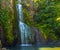 Piha Waterfalls, Kitekite Falls Auckland New Zealand