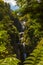 Piha Waterfalls, Kitekite Falls Auckland New Zealand