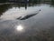 pike esox lucius  in the lake submerged