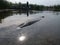 Pike esox lucius  in the lake submerged