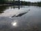 Pike esox lucius  in the lake submerged