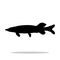 Pike fish black silhouette aquatic animal