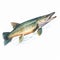 Pike Fish Illustration: Patrick Brown Style, Uhd Image On White Background